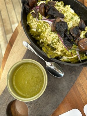   at BIO at Xcaret Mexico in Playa Del Carmen