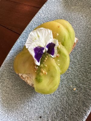   at BIO at Xcaret Mexico in Playa Del Carmen