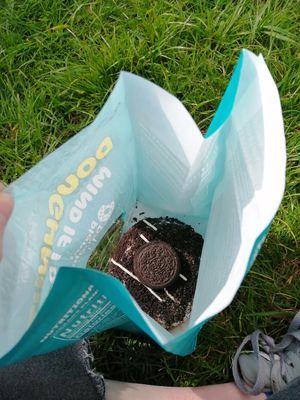 Oreo vegan donut at Planet Donut  in Lichfield