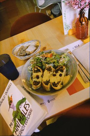   at A Corre Vexeta in Santiago De Compostela