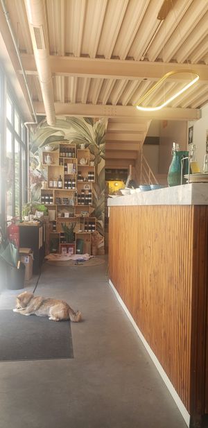  at Elemiah in Fontainebleau