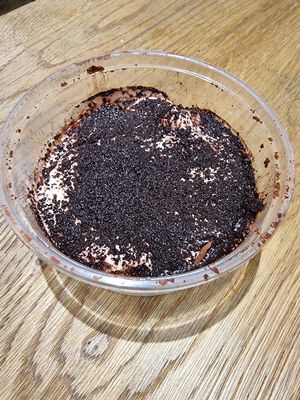 Vegan tiramisu at Ropogó in Budapest