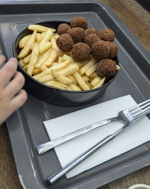 Fries and falafel at Ropogó in Budapest