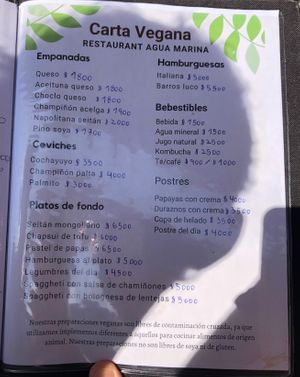 Carta Vegana at Agua Marina in Tongoy