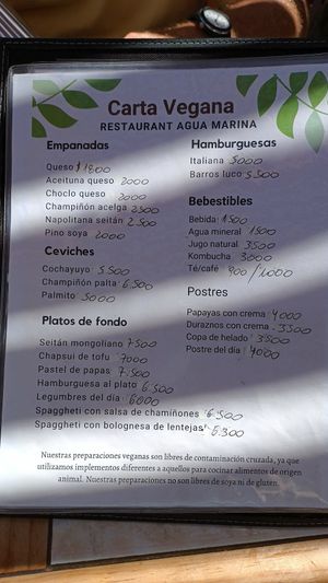 Carta vegana con muchas opciones #Veganuary at Agua Marina in Tongoy