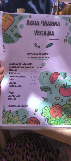  at Agua Marina in Tongoy