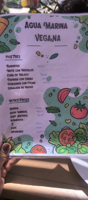  at Agua Marina in Tongoy