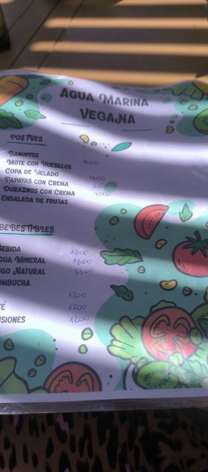  at Agua Marina in Tongoy