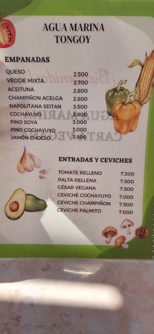  at Agua Marina in Tongoy