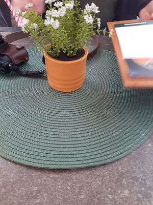  at herBar in Budapest