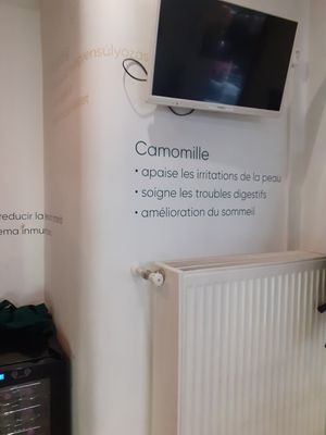  at herBar in Budapest