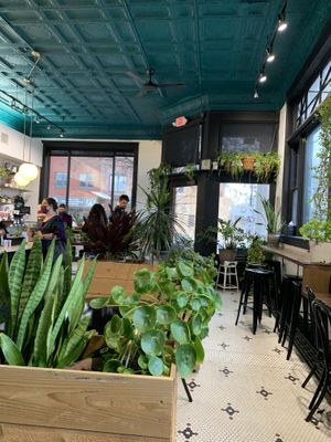 Bright and cheerful interior  at Leslie Coffee Co in Wichita