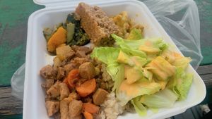 bbq vegan chunks  at Rasta in Nassau