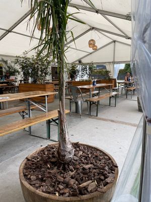 Undercover seating area with great view of stage when bands perform at Mangawhai Tavern in Mangawhai