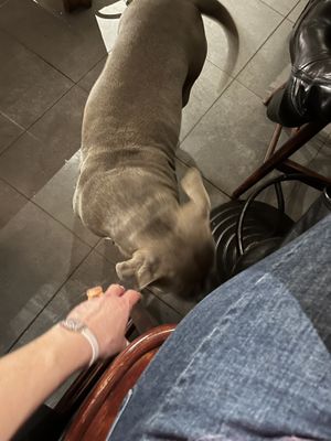 Medusa 1  at Pura Vida Vegan Tacos in Antwerpen