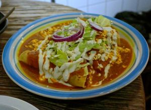 Enchiladas at Pura Vida Vegan Tacos in Antwerpen