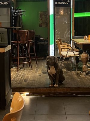   at Pura Vida Vegan Tacos in Antwerpen