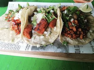   at Pura Vida Vegan Tacos in Antwerpen