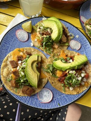  at Pura Vida Vegan Tacos in Antwerpen