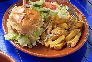 Vegan mozzarella crispy chicken burger
With fries and salad at Pura Vida Vegan Tacos in Antwerpen
