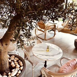  at Planet Terra in Dubai