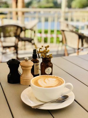   at Planet Terra in Dubai