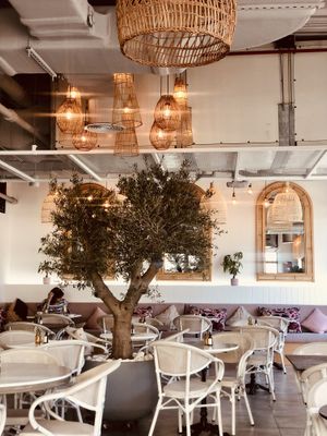   at Planet Terra in Dubai