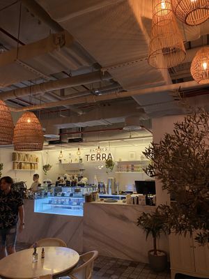   at Planet Terra in Dubai