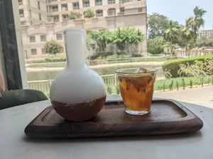  at Planet Terra in Dubai