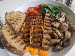  at Planet Terra in Dubai