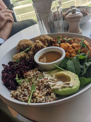  at Planet Terra in Dubai