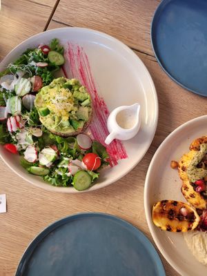  at Planet Terra in Dubai