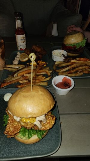  at Planet Terra in Dubai