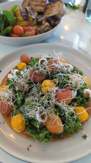 Chickpea omlette at Planet Terra in Dubai