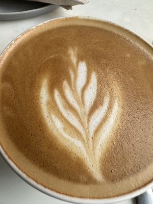   at Planet Terra in Dubai