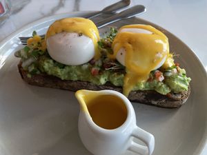   at Planet Terra in Dubai