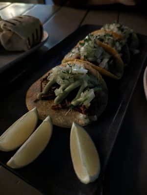  at Planet Terra in Dubai