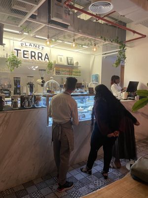 Dessert showcase   at Planet Terra in Dubai