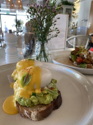   at Planet Terra in Dubai