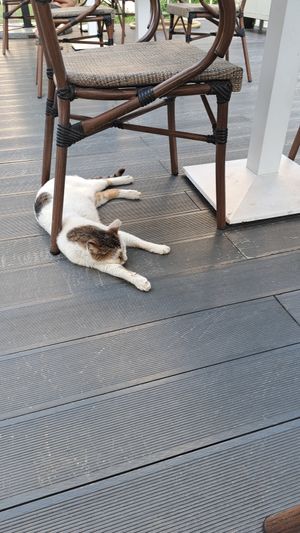 F at Planet Terra in Dubai