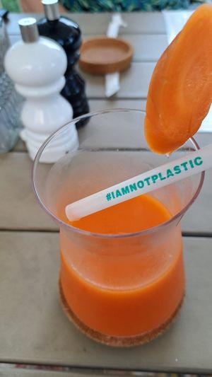  at Planet Terra in Dubai