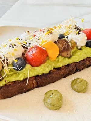   at Planet Terra in Dubai