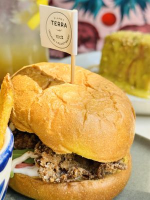   at Planet Terra in Dubai