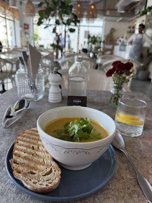   at Planet Terra in Dubai