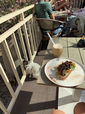   at Planet Terra in Dubai