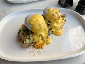   at Planet Terra in Dubai