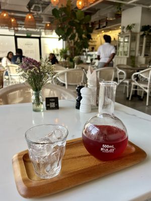   at Planet Terra in Dubai