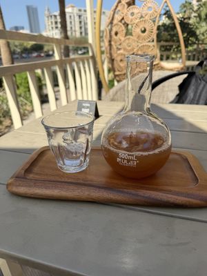   at Planet Terra in Dubai