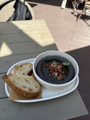   at Planet Terra in Dubai