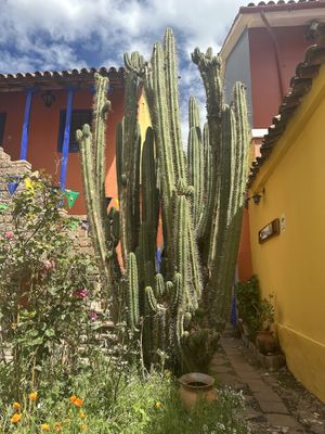 Courtyard   at La Casa del Corregidor in Puno